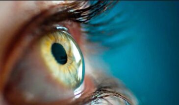 Зрение человека — это уникальная система, которая отвечает за примерно 80% от общего восприятия информации.…